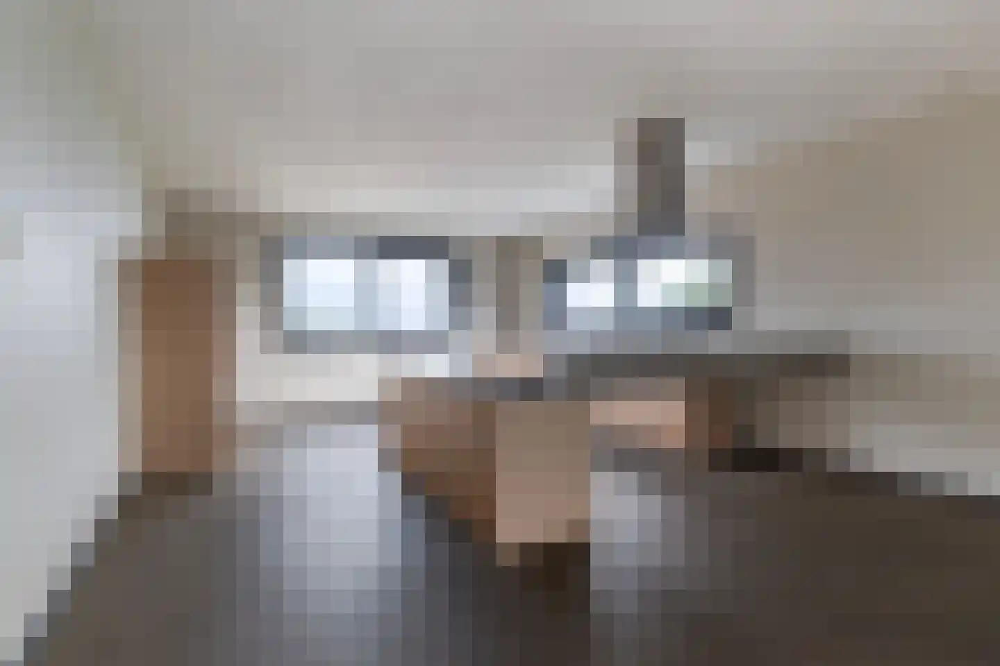 Hayemaweg 4 Kollum thumbnail 55