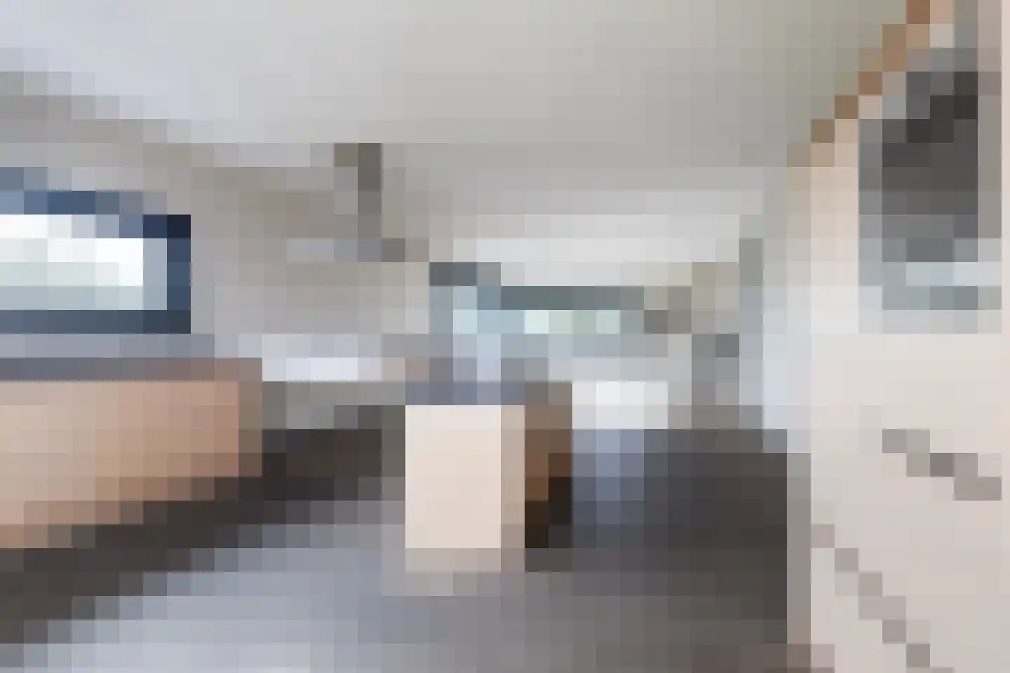 Hayemaweg 4 Kollum thumbnail 57