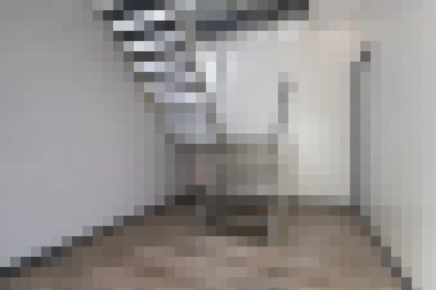 Hayemaweg 4 Kollum thumbnail 6