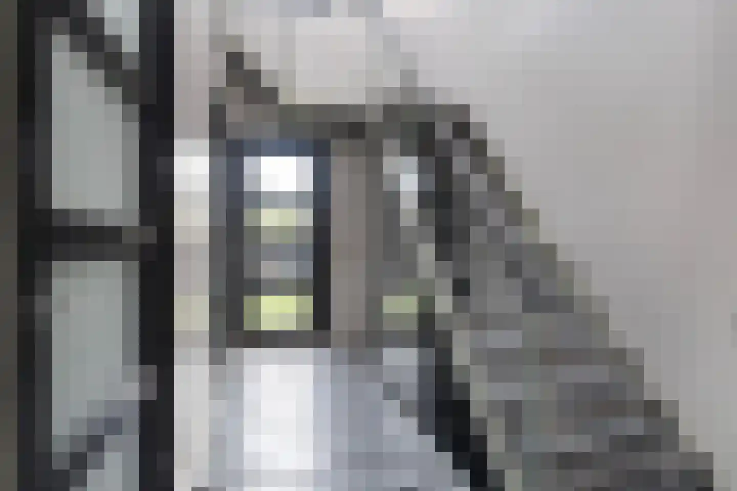 Hayemaweg 4 Kollum thumbnail 66