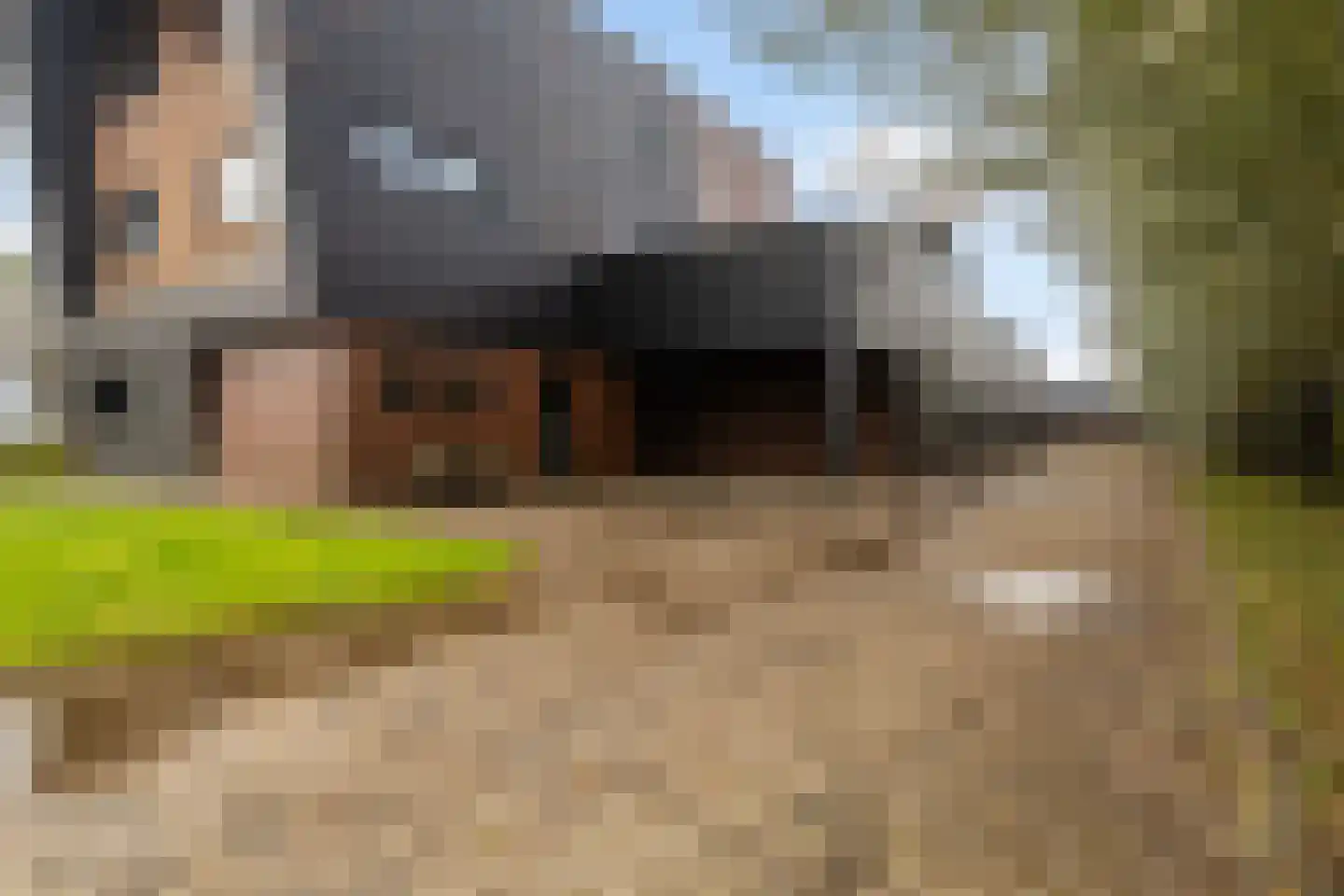Hayemaweg 4 Kollum thumbnail 71