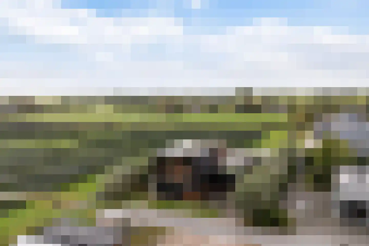 Hayemaweg 4 Kollum thumbnail 74