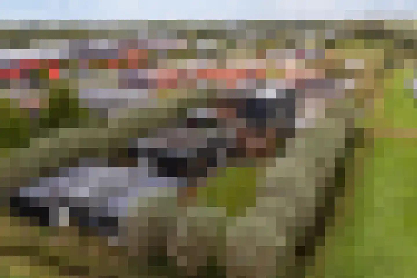 Hayemaweg 4 Kollum thumbnail 77