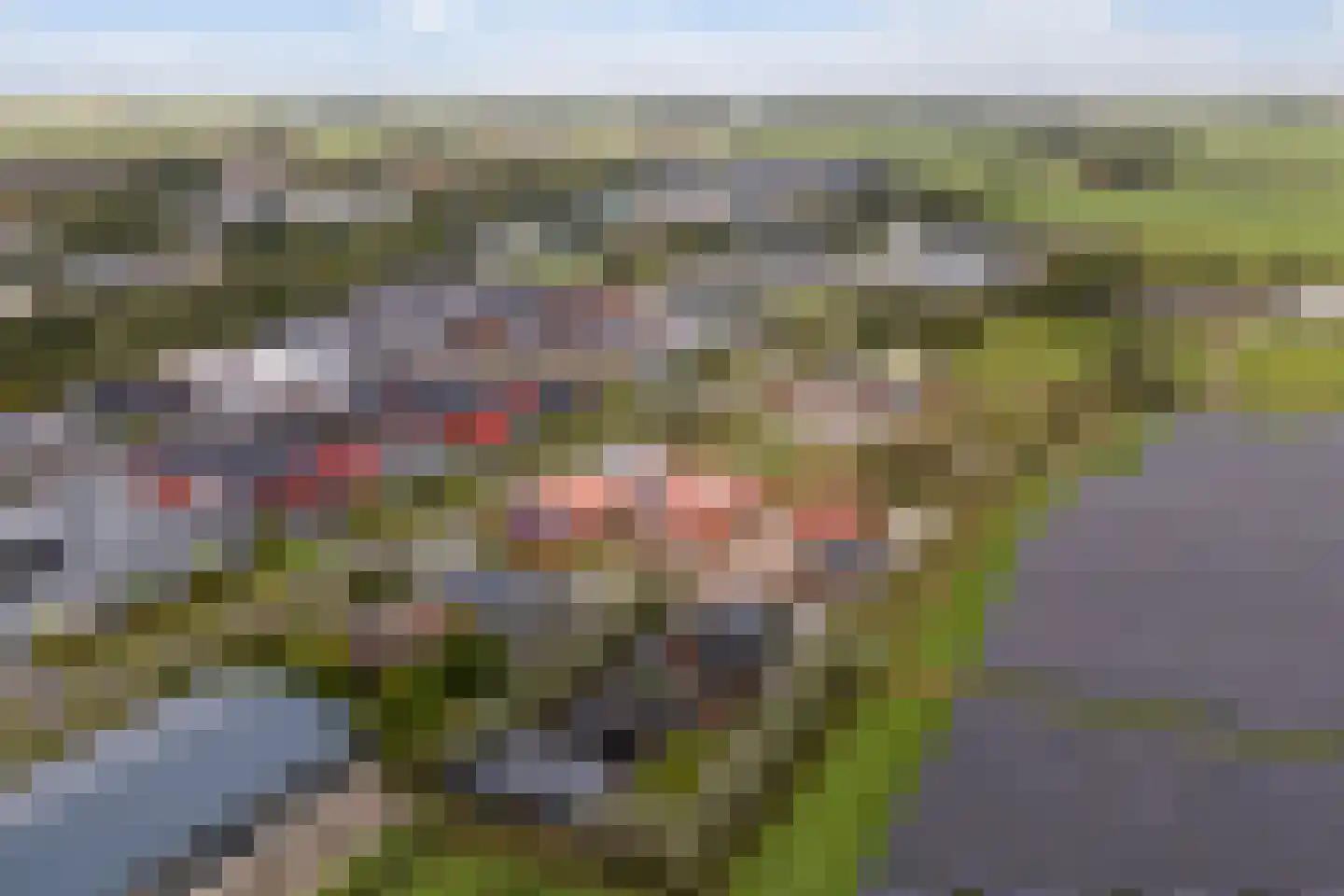 Hayemaweg 4 Kollum thumbnail 78