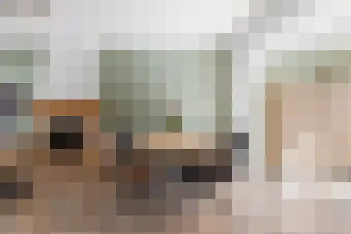 Hazebroekstraat 14 Etten-Leur thumbnail 4