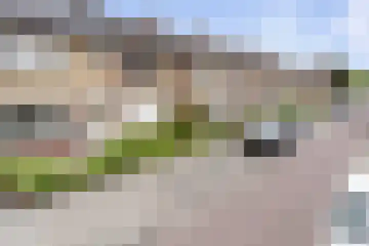 Hazebroekstraat 14 Etten-Leur thumbnail 42