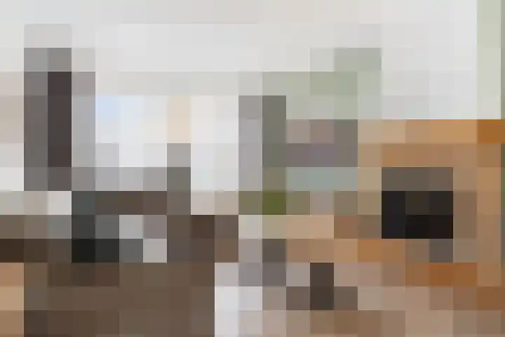 Hazebroekstraat 14 Etten-Leur thumbnail 5