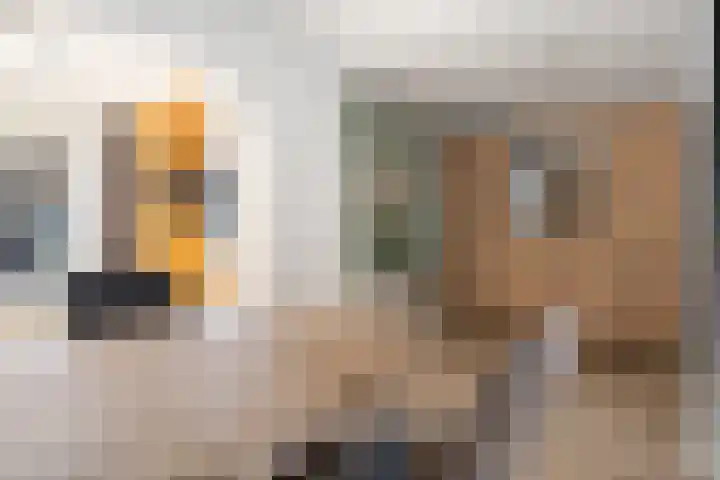 Hazebroekstraat 14 Etten-Leur thumbnail 9