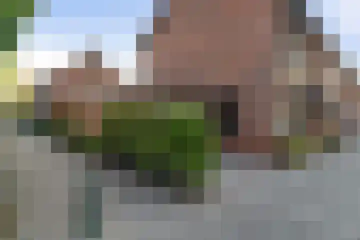 Hazebroekstraat 24 Etten-Leur thumbnail 41