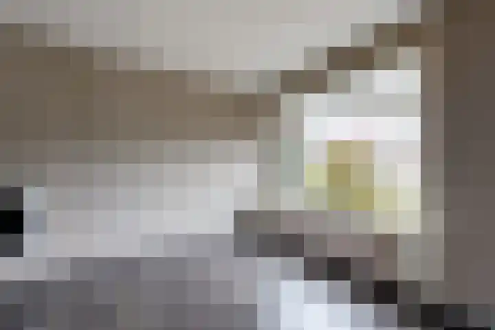 Hazebrouckstraat 10 Fijnaart thumbnail 10