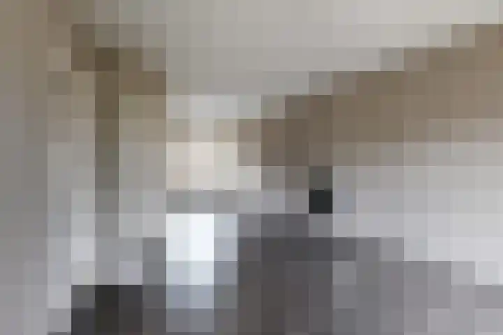 Hazebrouckstraat 10 Fijnaart thumbnail 12