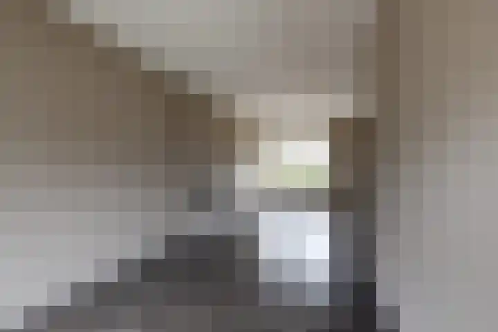 Hazebrouckstraat 10 Fijnaart thumbnail 14