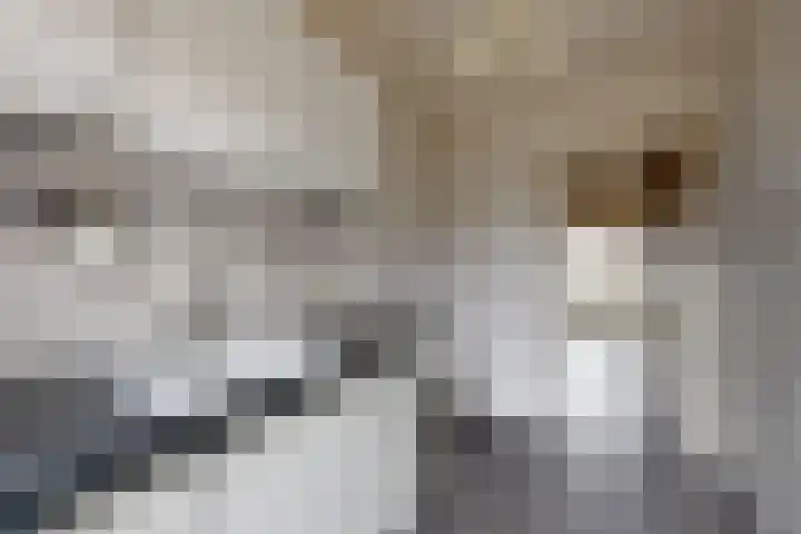 Hazebrouckstraat 10 Fijnaart thumbnail 17