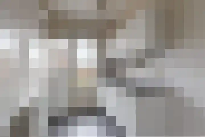 Hazebrouckstraat 10 Fijnaart thumbnail 19