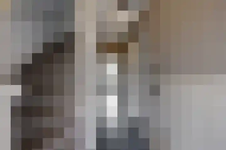 Hazebrouckstraat 10 Fijnaart thumbnail 20