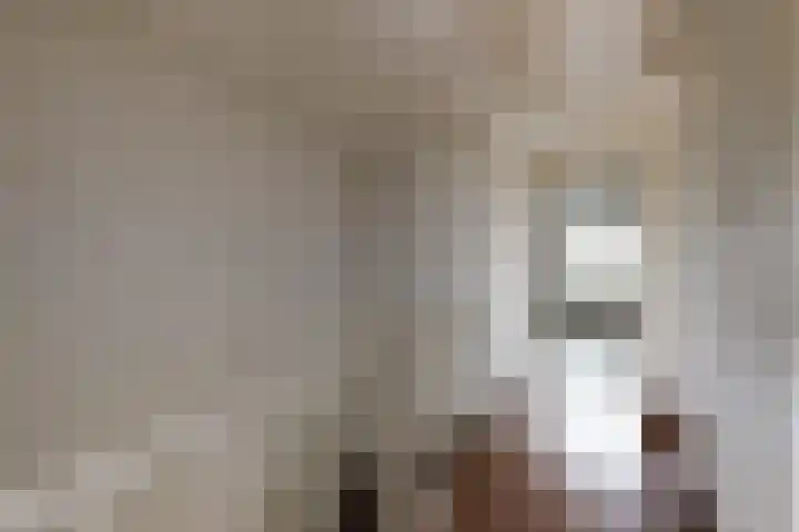 Hazebrouckstraat 10 Fijnaart thumbnail 21