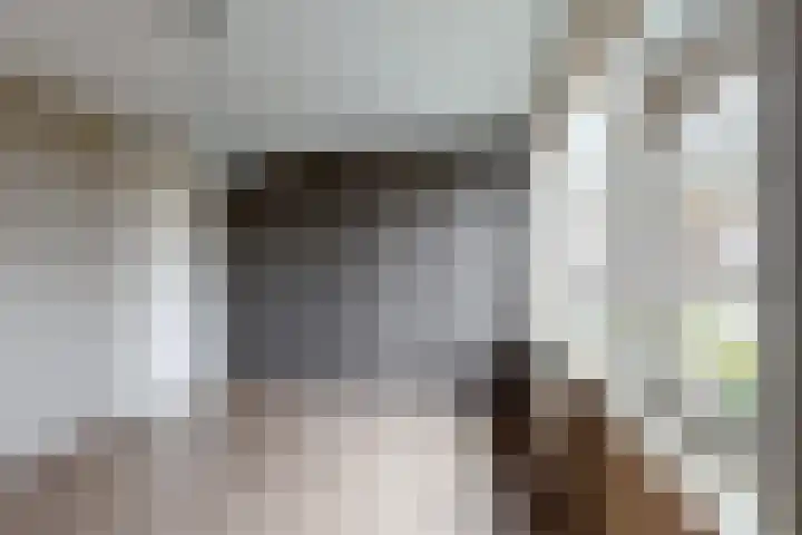 Hazebrouckstraat 10 Fijnaart thumbnail 28