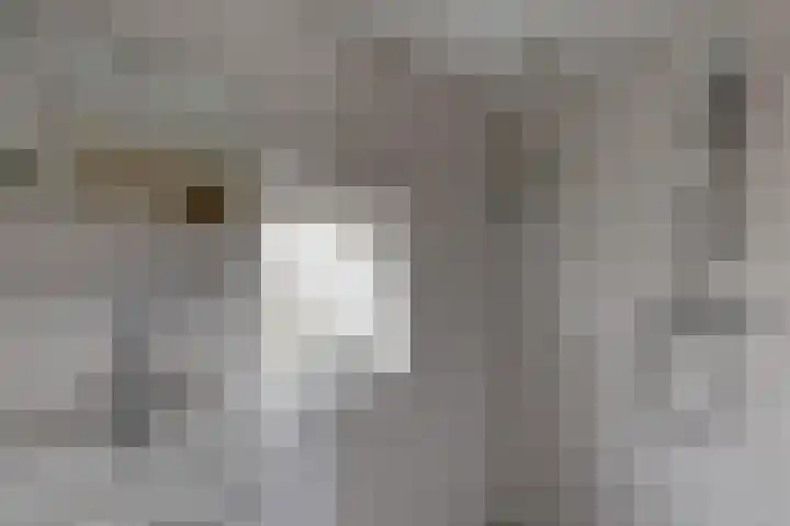 Hazebrouckstraat 10 Fijnaart thumbnail 29