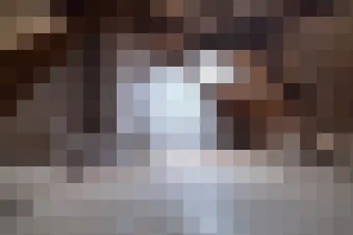 Hazebrouckstraat 10 Fijnaart thumbnail 33