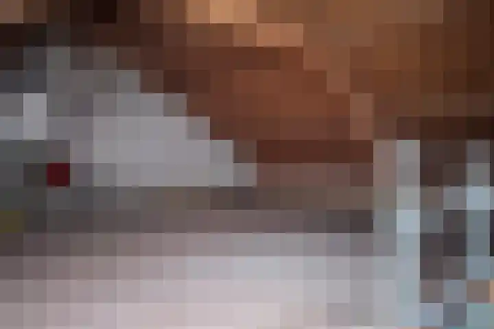 Hazebrouckstraat 10 Fijnaart thumbnail 34
