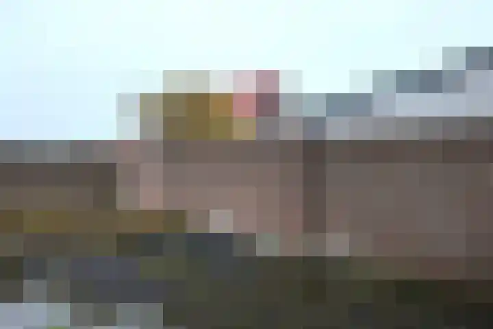 Hazebrouckstraat 10 Fijnaart thumbnail 39