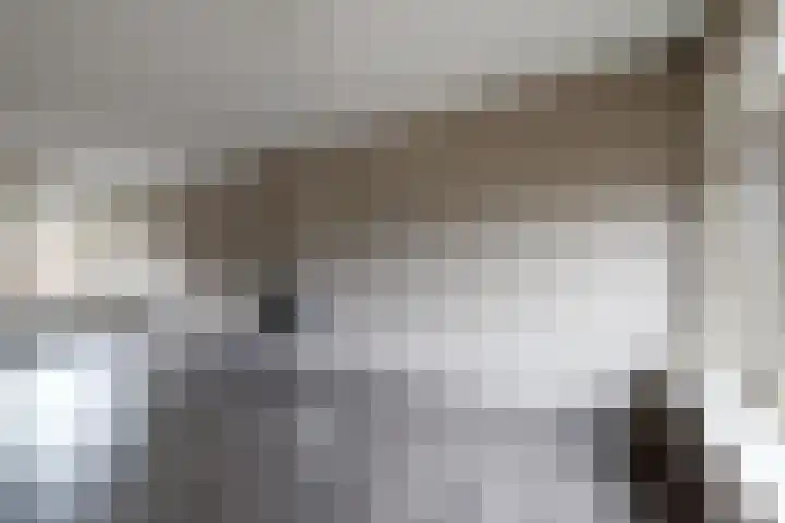 Hazebrouckstraat 10 Fijnaart thumbnail 9