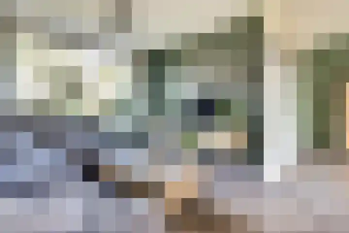 Hazebrouckstraat 17 Fijnaart thumbnail 10