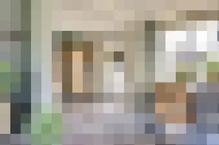 Hazebrouckstraat 17 Fijnaart thumbnail 11