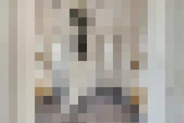 Hazebrouckstraat 17 Fijnaart thumbnail 13