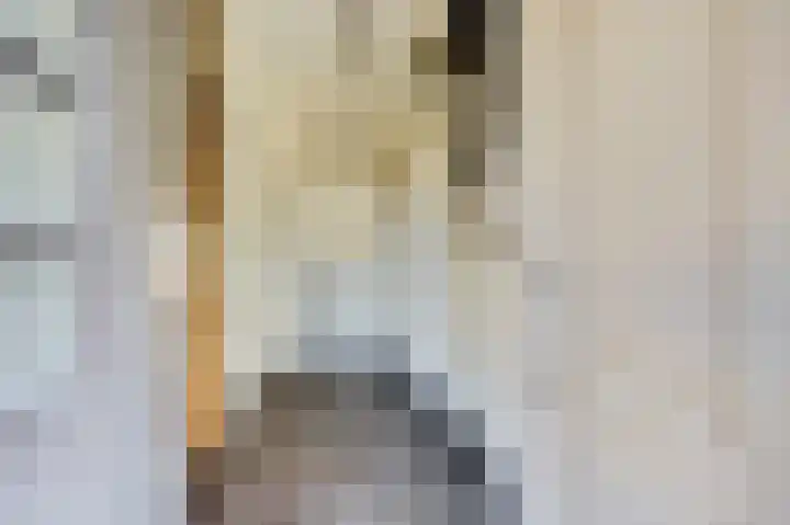 Hazebrouckstraat 17 Fijnaart thumbnail 14