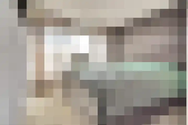 Hazebrouckstraat 17 Fijnaart thumbnail 17