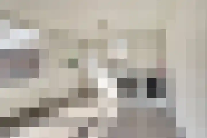 Hazebrouckstraat 17 Fijnaart thumbnail 23