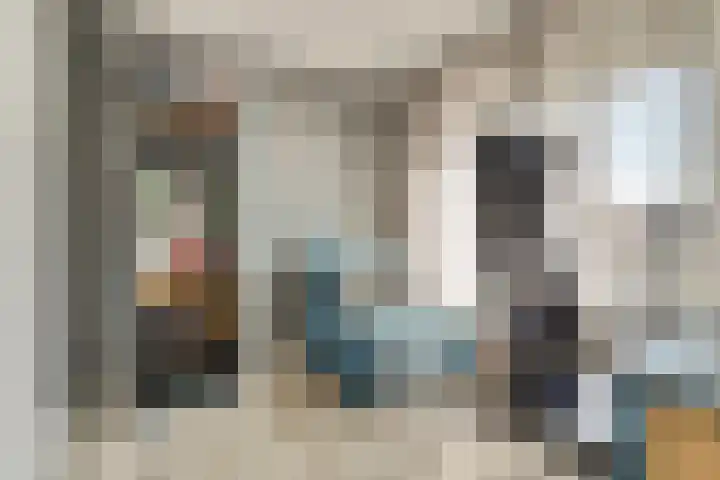 Hazebrouckstraat 17 Fijnaart thumbnail 24