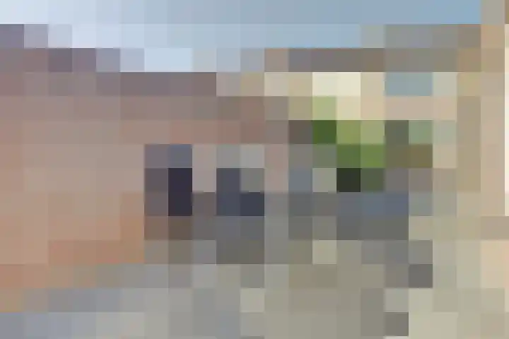 Hazebrouckstraat 17 Fijnaart thumbnail 35