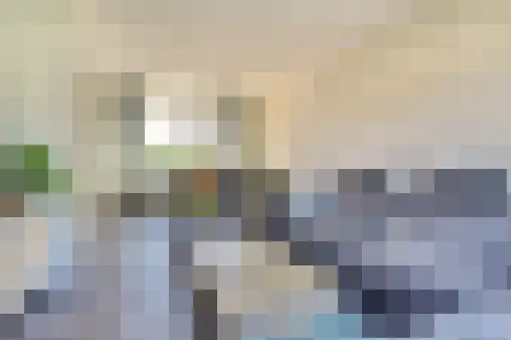 Hazebrouckstraat 17 Fijnaart thumbnail 4