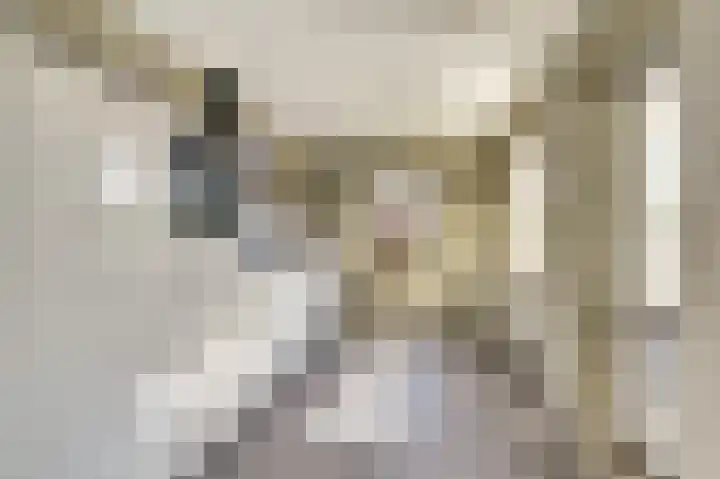 Hazebrouckstraat 17 Fijnaart thumbnail 7