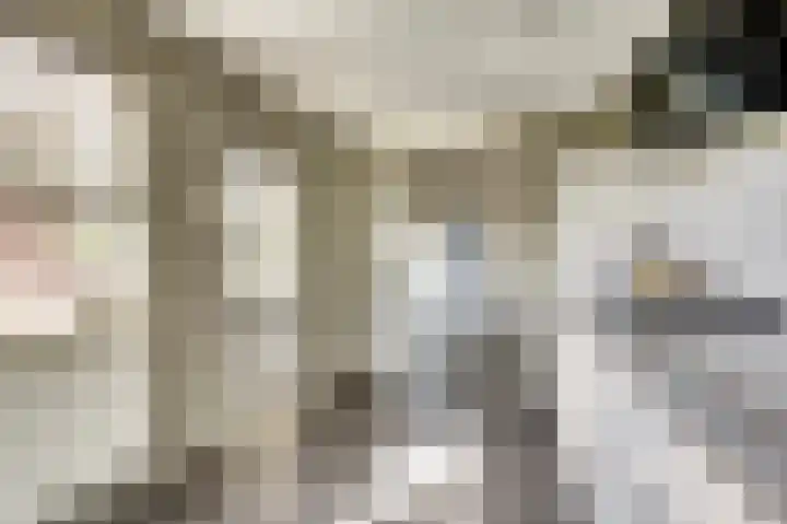 Hazebrouckstraat 17 Fijnaart thumbnail 9