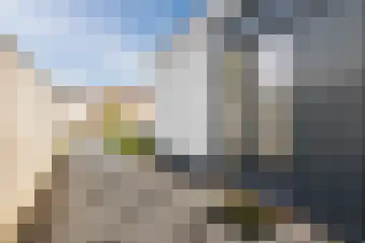 Hazebrouckstraat 18 Fijnaart thumbnail 10