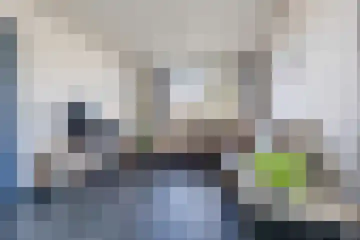 Hazebrouckstraat 18 Fijnaart thumbnail 15