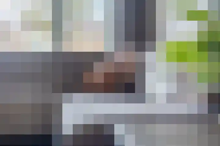 Hazebrouckstraat 18 Fijnaart thumbnail 16