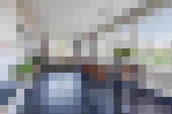 Hazebrouckstraat 18 Fijnaart thumbnail 20