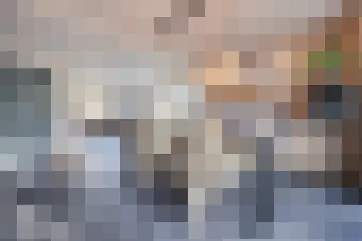 Hazebrouckstraat 18 Fijnaart thumbnail 23