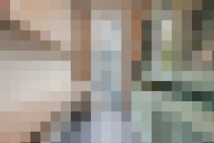 Hazebrouckstraat 18 Fijnaart thumbnail 26