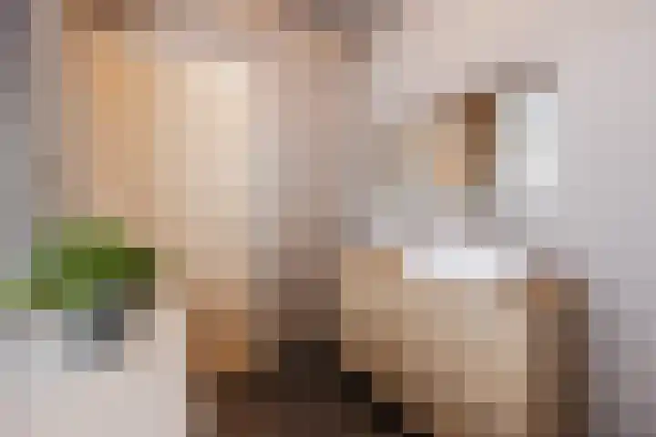 Hazebrouckstraat 18 Fijnaart thumbnail 32