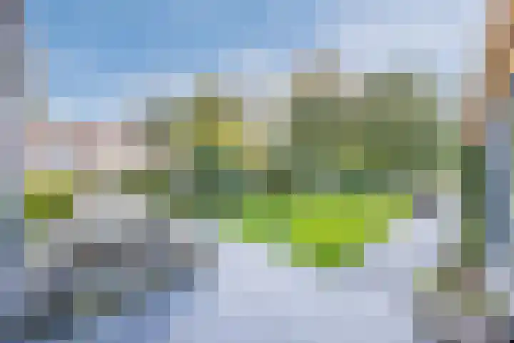Hazebrouckstraat 18 Fijnaart thumbnail 36
