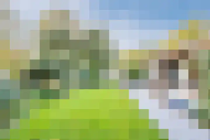 Hazebrouckstraat 18 Fijnaart thumbnail 37