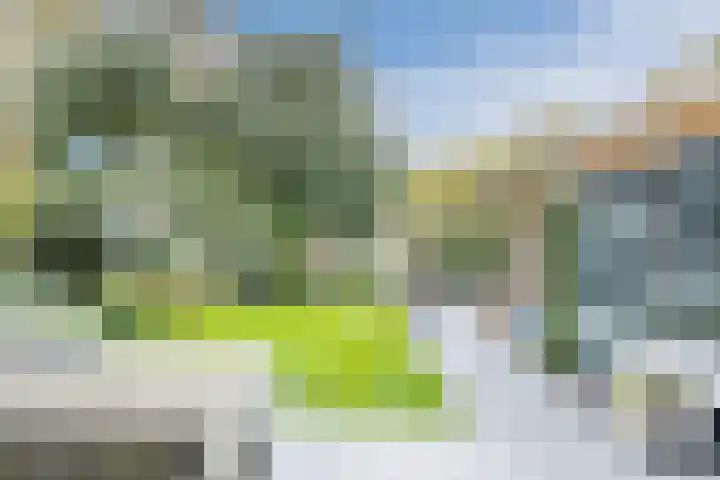 Hazebrouckstraat 18 Fijnaart thumbnail 38