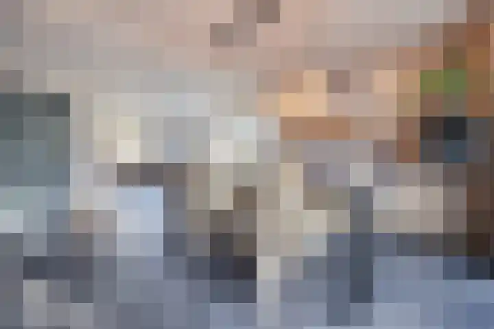 Hazebrouckstraat 18 Fijnaart thumbnail 4