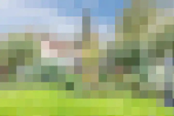 Hazebrouckstraat 18 Fijnaart thumbnail 43