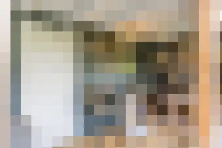 Hazebrouckstraat 18 Fijnaart thumbnail 45